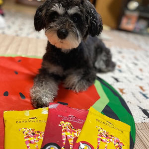 �y�u���o���\���k�z�����p300�~�������Z�b�g