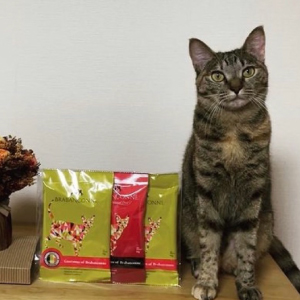 �y�u���o���\���k�z���L�p300�~�������Z�b�g