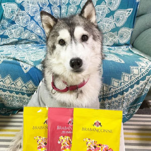 �y�u���o���\���k�z��^���p300�~�������Z�b�g