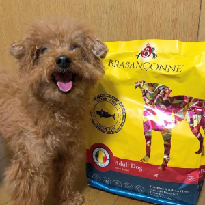 定期便｜送料無料【ブラバンソンヌ】小型犬の成犬用 ドッグフード オーシャンフィッシュ 2.5kg