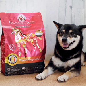 【ブラバンソンヌ】消化器サポート 犬用 ドッグフード オールステージ対応（準療法食）/881プロフェッショナル2.5kg