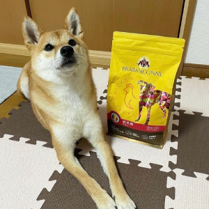 【ブラバンソンヌ】小型犬の成犬用 ドッグフード チキン 2.5kg