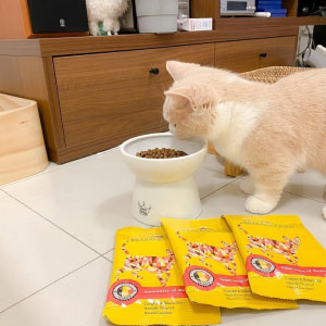 �y�u���o���\���k�z�q�L�p-50g�~3�܃Z�b�g�������T���v��