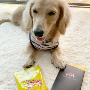 �y�u���o���\���k�z���^���̎q���p-50g�~3�܃Z�b�g�������T���v��