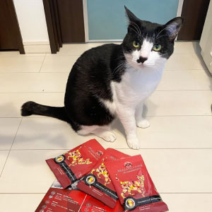 �y�u���o���\���k�z������T�|�[�g �L�p �L���b�g�t�[�h 50g�~3�� �������Z�b�g