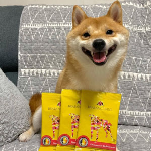 �y�u���o���\���k�z�����p �h�b�O�t�[�h �I�[�V�����t�B�b�V�� 50g�~3�� �������Z�b�g