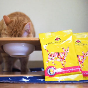 �y�u���o���\���k�z���L�p �L���b�g�t�[�h �I�[�V�����t�B�b�V�� 50g�~3�� �������Z�b�g