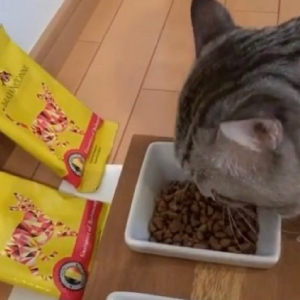 �y�u���o���\���k�z���L�p �L���b�g�t�[�h �`�L�� 50g�~3�� �������Z�b�g