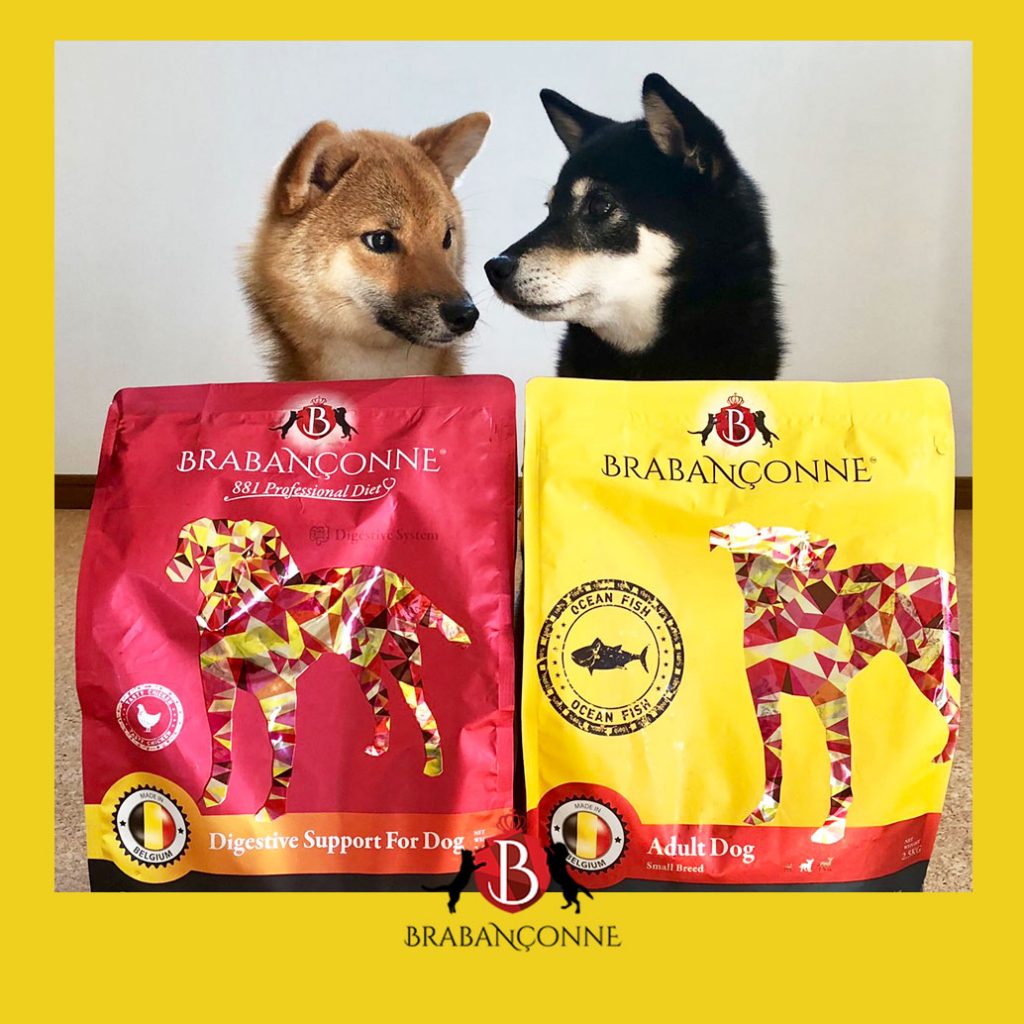 ドッグフード ブラバンソンヌ 利用者の声 ワンちゃん編 Wepet ウィペット 公式サイト
