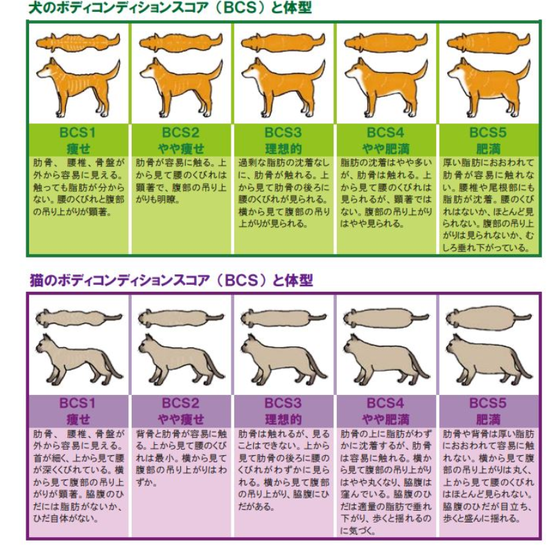 フードの適量 ご存知ですか 給餌量チェックツールがでました Wepet プレミアムペットフード通販