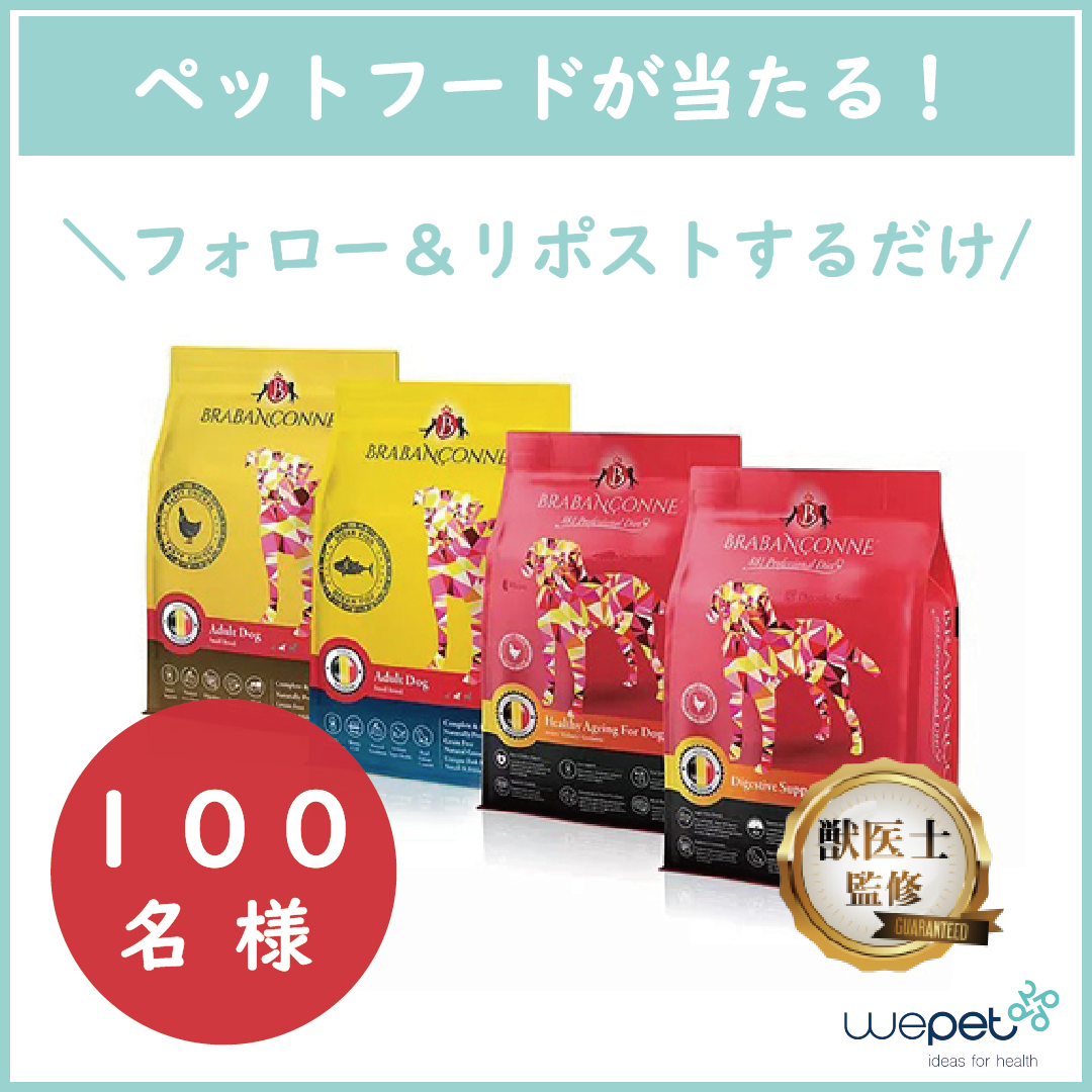 100名様にペットフードが当たる Snsキャンペーンスタート Wepet プレミアムペットフード通販