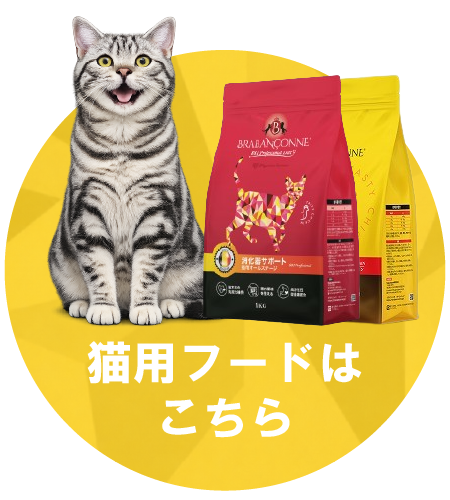猫用フードはこちら