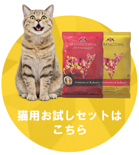 猫用お試しセットはこちら