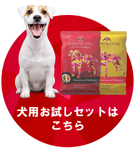 犬用お試しセットはこちら