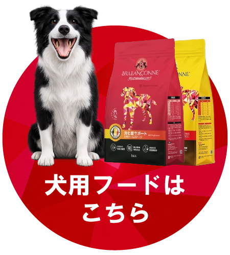 犬用フードはこちら